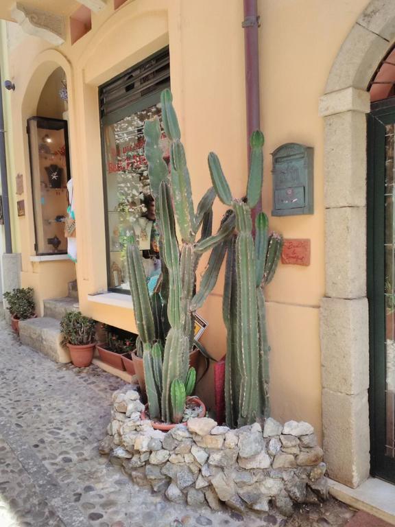 Le Piccole Grotte Bed & Breakfast Scilla Bagian luar foto